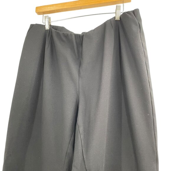 Eileen Fisher Black Pull On Elastic Waist Casual Pants Womens Size 2X Comfort - Picture 2 of 9